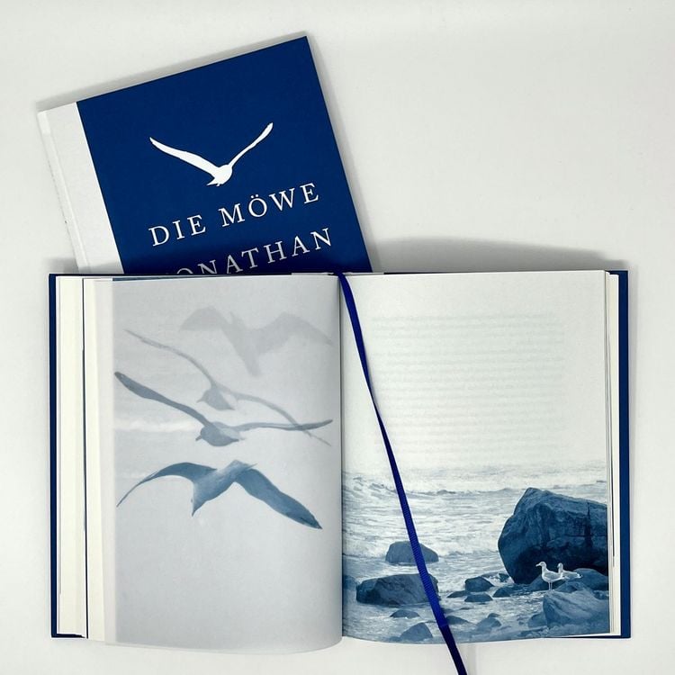 Produktbild: Die M&ouml;we Jonathan