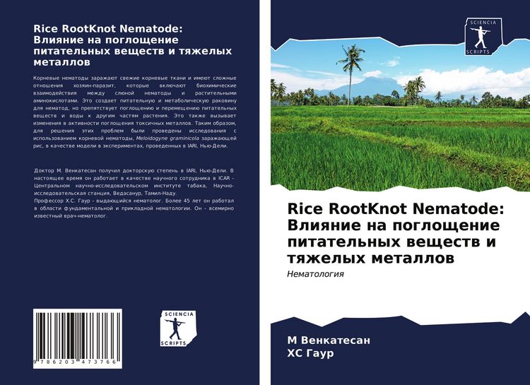 Produktbild: Rice RootKnot Nematode: Vliqnie na pogloschenie pitatel'nyh weschestw i tqzhelyh metallow