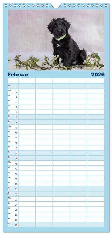 Produktbild: Familienplaner 2026 - Briardbabys in ihren ersten Wochen mit 5 Spalten (Wandkalender, 21 x 45 cm) CALVENDO