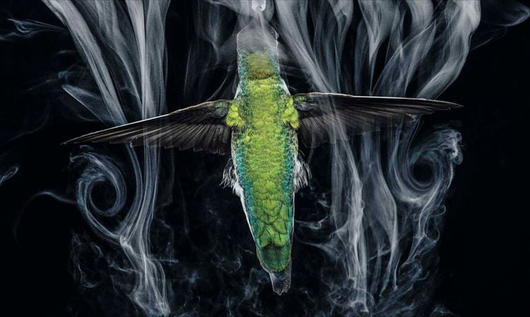 Produktbild: National Geographic Verborgene Welten &ndash; Einzigartige Fotografien