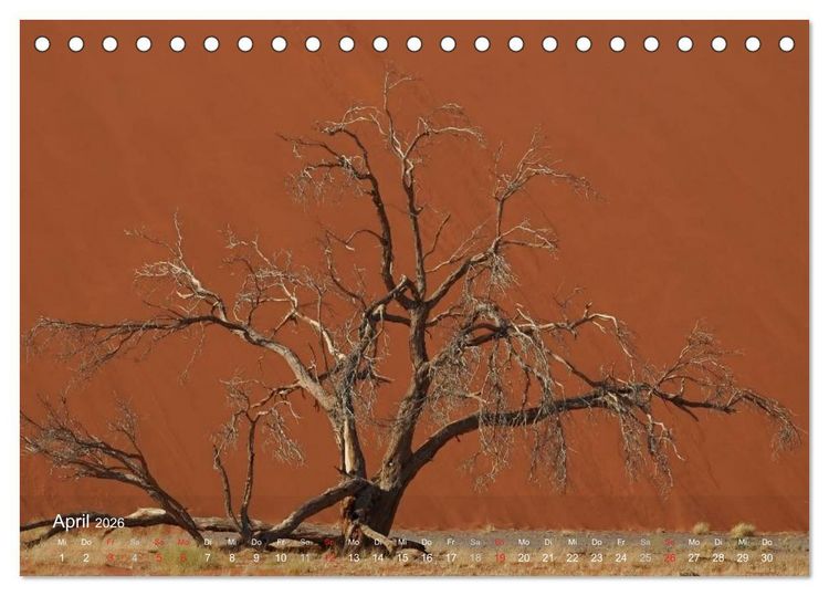 Produktbild: Afrikanische B&auml;ume (Tischkalender 2026 DIN A5 quer), CALVENDO Monatskalender
