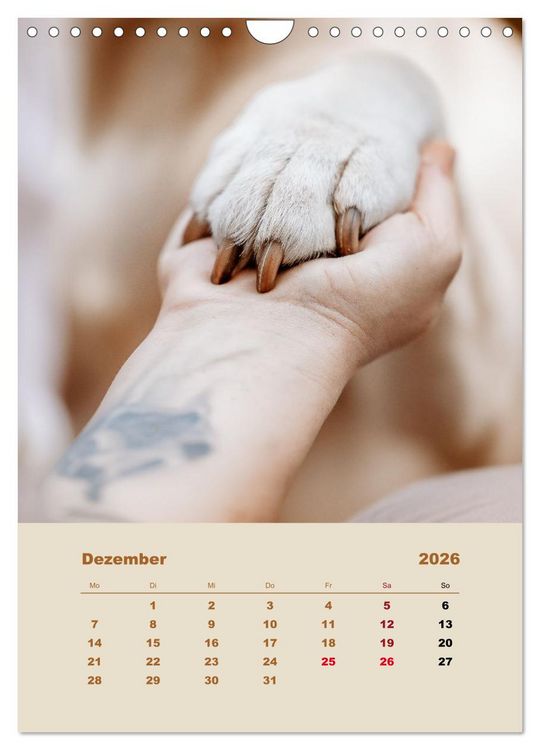 Produktbild: Du und ich - Dreamteamfotografie - Mensch und Hund (Wandkalender 2026 DIN A4 hoch), CALVENDO Monatskalender