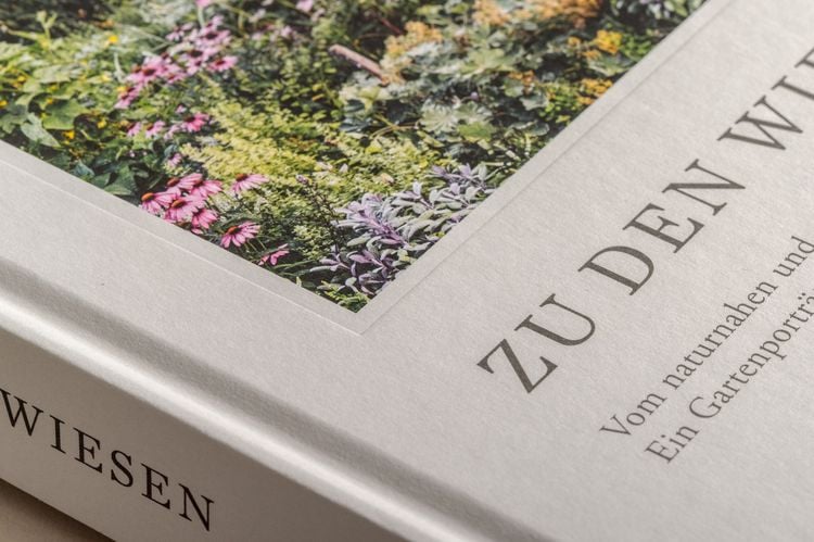 Produktbild: Zu den Wiesen