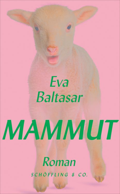 Produktbild: Mammut