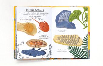 Produktbild: Hallo Fossilien & Muscheln