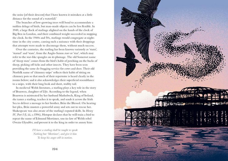 Produktbild: Britain's Birds