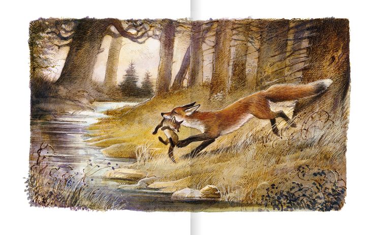 Produktbild: Der Findefuchs &ndash; Wie der kleine Fuchs eine Mutter bekam