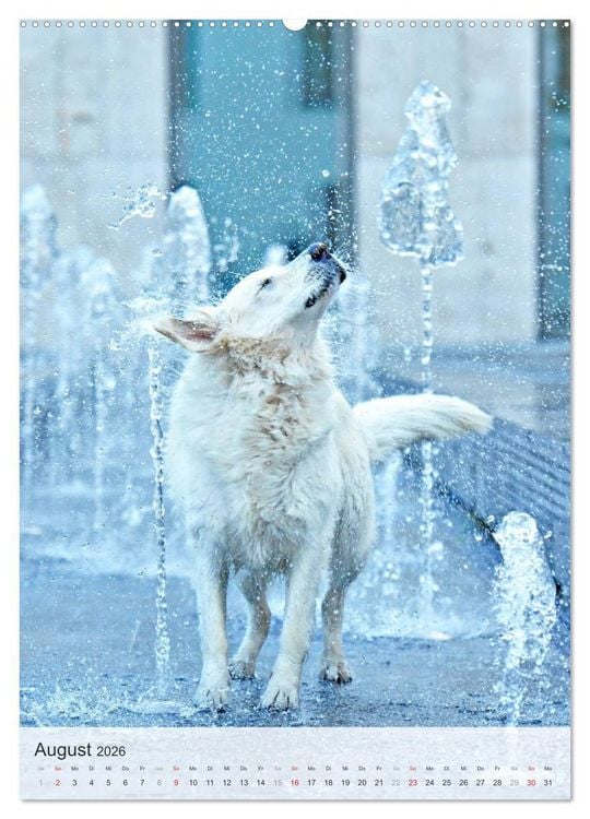 Produktbild: Hundepers&ouml;nlichkeiten (Wandkalender 2026 DIN A2 hoch), CALVENDO Monatskalender