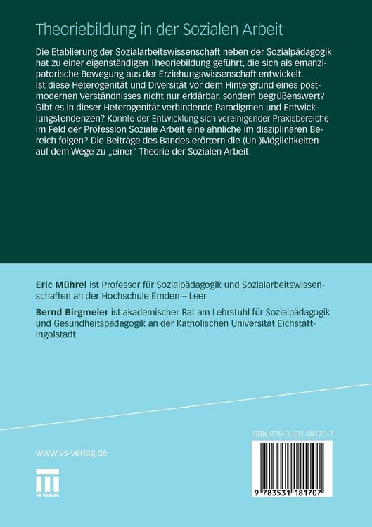 Produktbild: Theoriebildung in der Sozialen Arbeit
