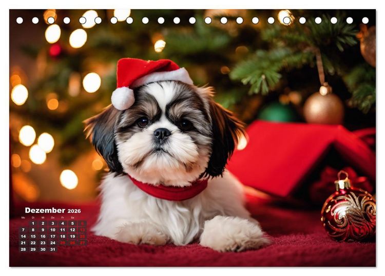 Produktbild: Shih Tzu - der wuschelige Hund aus Tibet (Tischkalender 2026 DIN A5 quer), CALVENDO Monatskalender