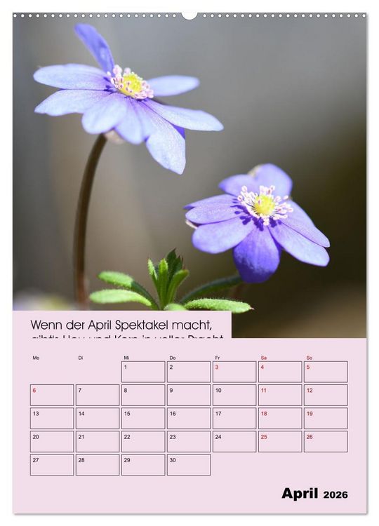 Produktbild: Wetter-Regeln der Bauern (hochwertiger Premium Wandkalender 2026 DIN A2 hoch), Kunstdruck in Hochglanz