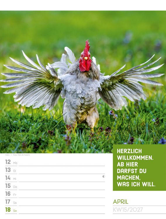 Produktbild: Tierisch Spr&uuml;chekalender Wochenplaner 2027