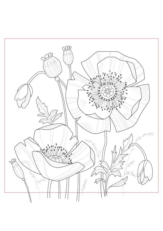 Produktbild: Pia Pedevilla - Bl&uuml;tentr&auml;ume