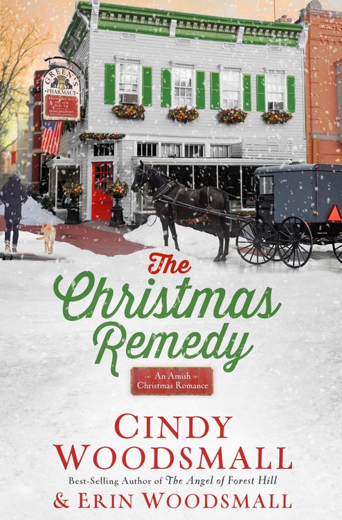 Produktbild: The Christmas Remedy
