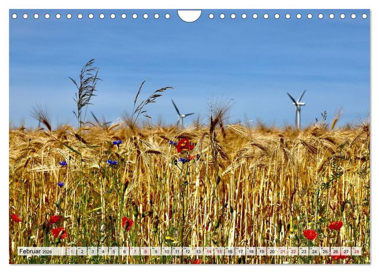 Produktbild: Fischland: zwischen Ostsee und Bodden (Wandkalender 2026 DIN A4 quer), CALVENDO Monatskalender