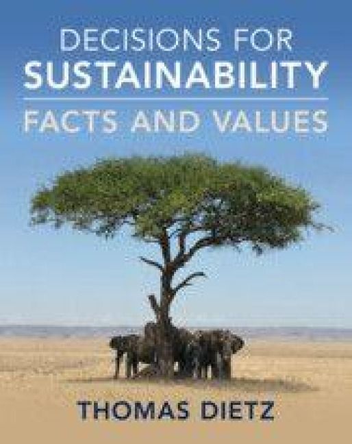 Produktbild: Decisions for Sustainability