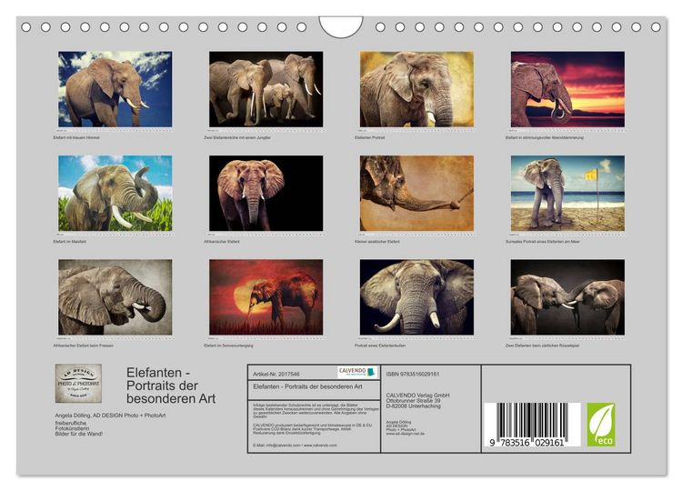 Produktbild: Elefanten - Portraits der besonderen Art (Wandkalender 2026 DIN A4 quer), CALVENDO Monatskalender