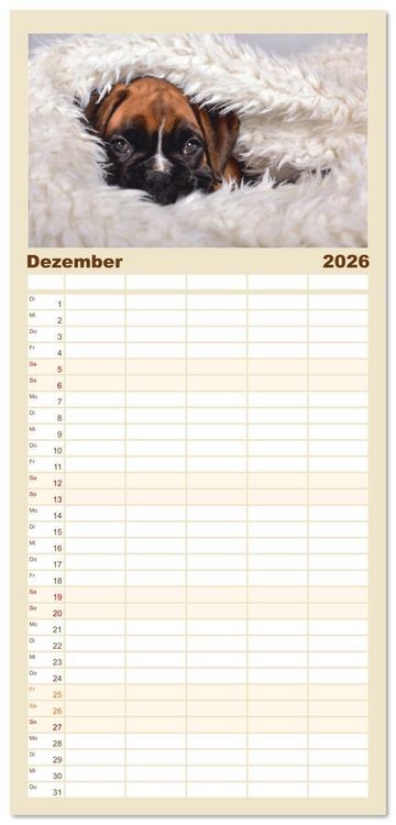 Produktbild: Familienplaner 2026 - Boxer Welpen einfach zuckers&uuml;&szlig; mit 5 Spalten (Wandkalender, 21 x 45 cm) CALVENDO