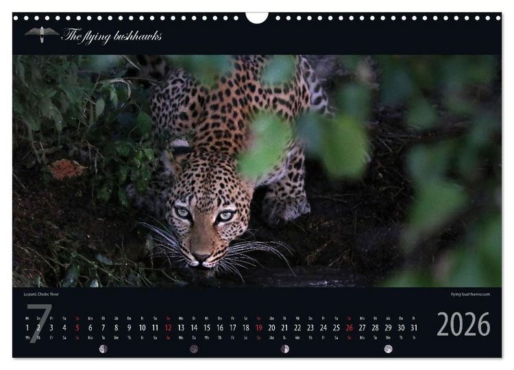 Produktbild: Botswana Blickwinkel 2026 (Wandkalender 2026 DIN A3 quer), CALVENDO Monatskalender