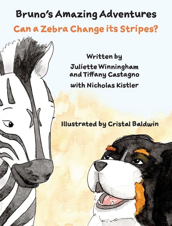 Produktbild: Can a Zebra Change its Stripes?