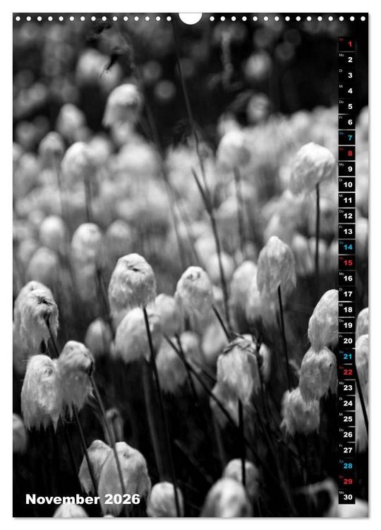 Produktbild: Blumige Graustufen - Schwarz und Wei&szlig; (Wandkalender 2026 DIN A3 hoch), CALVENDO Monatskalender