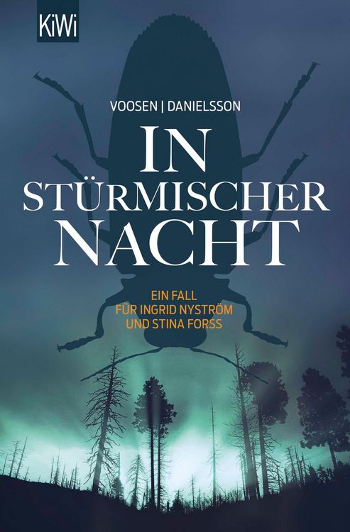 Produktbild: In st&uuml;rmischer Nacht
