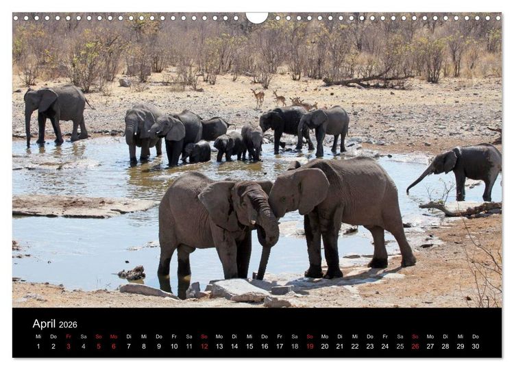 Produktbild: Eindr&uuml;cke aus Namibia (Wandkalender 2026 DIN A3 quer), CALVENDO Monatskalender