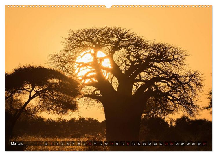 Produktbild: Ostafrika (Wandkalender 2026 DIN A2 quer), CALVENDO Monatskalender