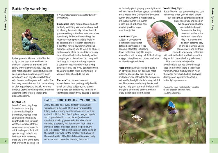 Produktbild: RSPB Butterflies of the British Isles