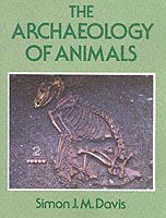 Produktbild: The Archaeology of Animals