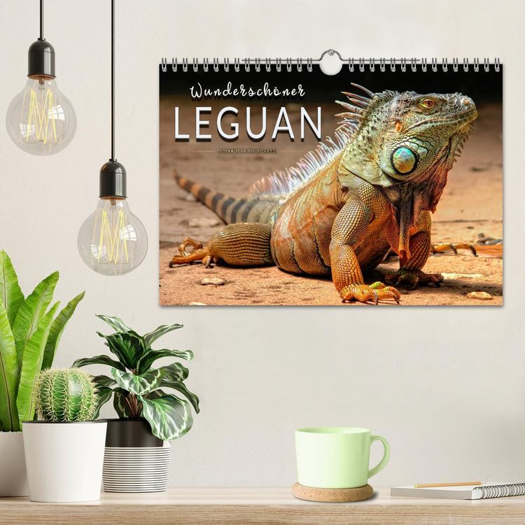 Produktbild: Wundersch&ouml;ner Leguan (Wandkalender 2026 DIN A4 quer), CALVENDO Monatskalender