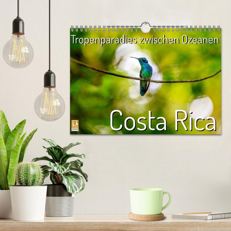 Produktbild: Tropenparadies zwischen Ozeanen Costa Rica (Wandkalender 2026 DIN A4 quer), CALVENDO Monatskalender