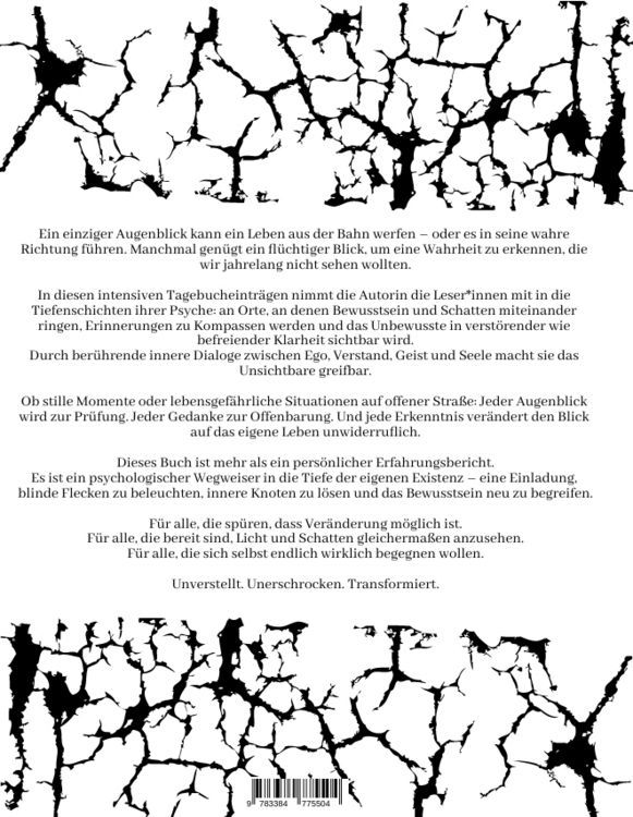 Produktbild: Das Tagebuch von Sinev Jasun. "Eine Perspektive aus der Zwischenwelt - zwischen Schatten und Licht."