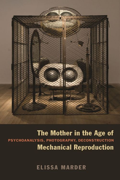Produktbild: The Mother in the Age of Mechanical Reproduction