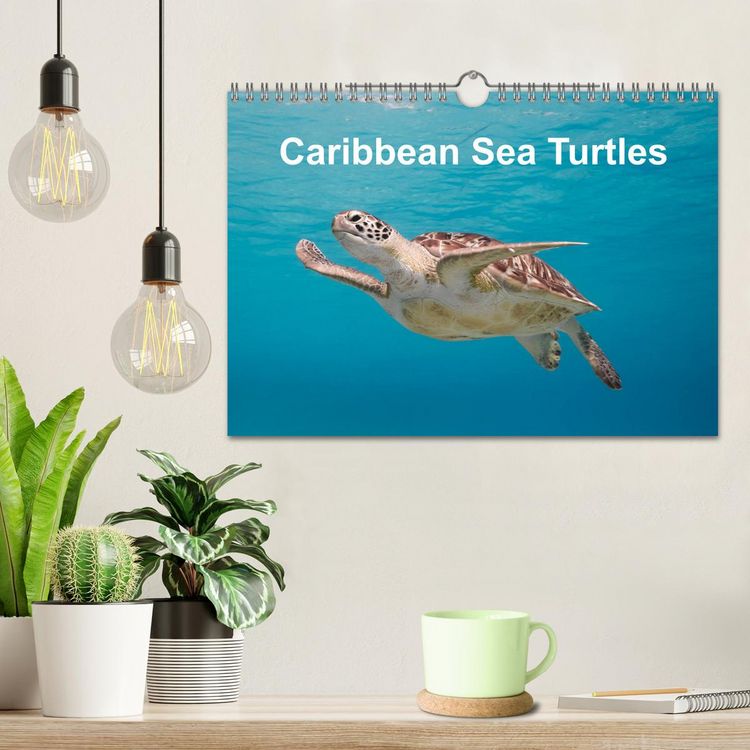 Produktbild: Caribbean Sea Turtles (Wall Calendar 2026 DIN A4 landscape), CALVENDO 12 Month Wall Calendar