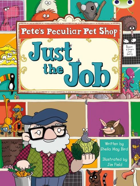Produktbild: Bug Club Guided Fiction Year Two Turquoise B Pete's Peculiar Pet Shop: Just the Job