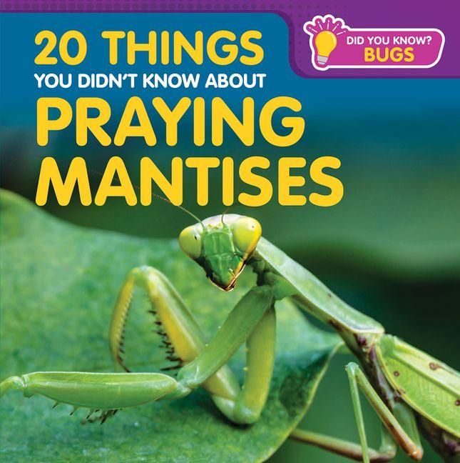 Produktbild: 20 Things You Didn't Know about Praying Mantises