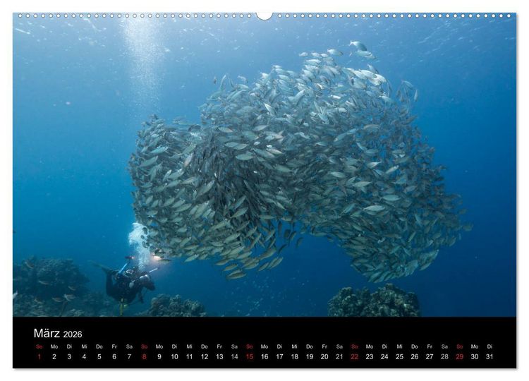 Produktbild: Tanz der Fische (hochwertiger Premium Wandkalender 2026 DIN A2 quer), Kunstdruck in Hochglanz