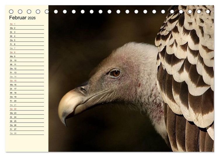 Produktbild: Greifv&ouml;gel (Tischkalender 2026 DIN A5 quer), CALVENDO Monatskalender