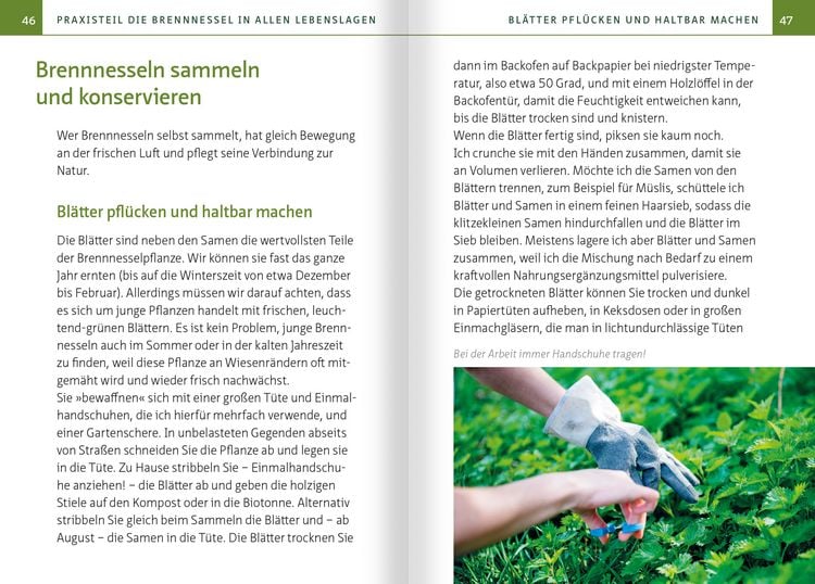 Produktbild: Brennnessel. Kompakt-Ratgeber