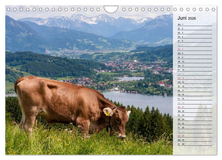 Produktbild: Oberallg&auml;uer Landschaft (Wandkalender 2026 DIN A4 quer), CALVENDO Monatskalender