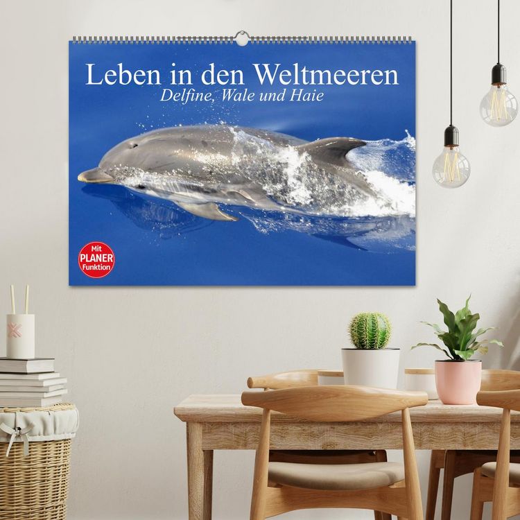 Produktbild: Leben in den Weltmeeren. Delfine, Wale und Haie (Wandkalender 2026 DIN A2 quer), CALVENDO Monatskalender
