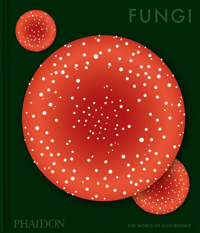 Produktbild: Fungi