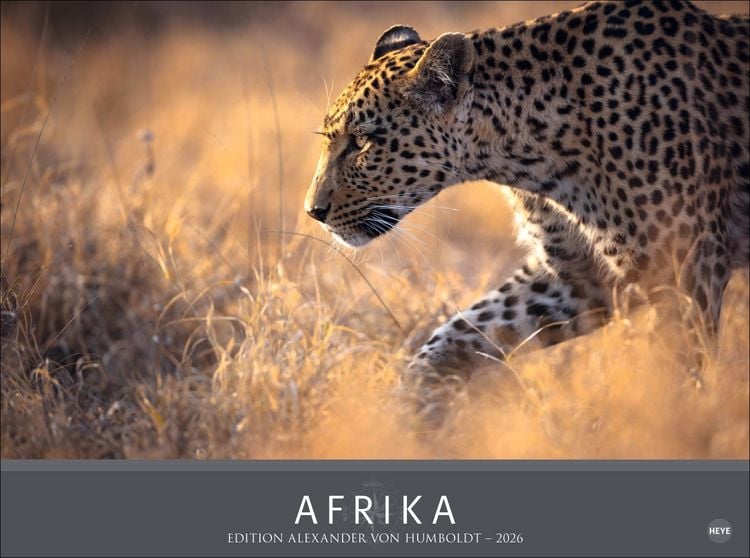 Produktbild: Afrika - Edition Alexander von Humboldt Kalender 2026