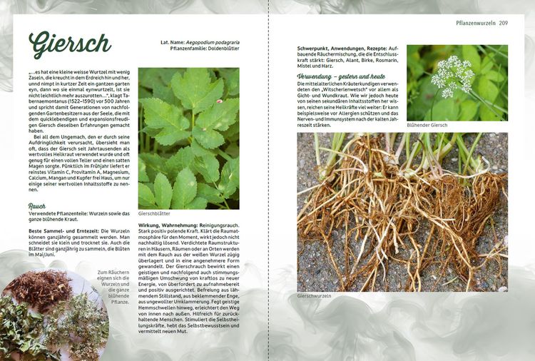 Produktbild: R&auml;uchern im Einklang mit der Natur