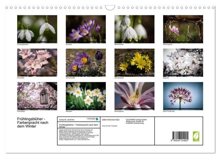 Produktbild: Fr&uuml;hlingsbl&uuml;her - Farbenpracht nach dem Winter (Wandkalender 2026 DIN A3 quer), CALVENDO Monatskalender