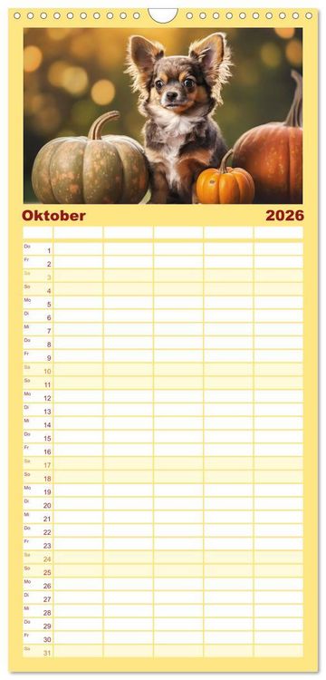 Produktbild: Familienplaner 2026 - Chihuahuas - Kleine Hunde - gro&szlig;e Temperamentb&uuml;ndel mit 5 Spalten (Wandkalender, 21 x 45 cm) CALVENDO