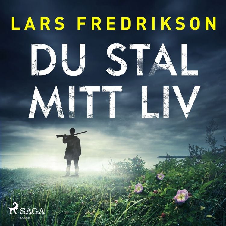 Produktbild: Du stal mitt liv