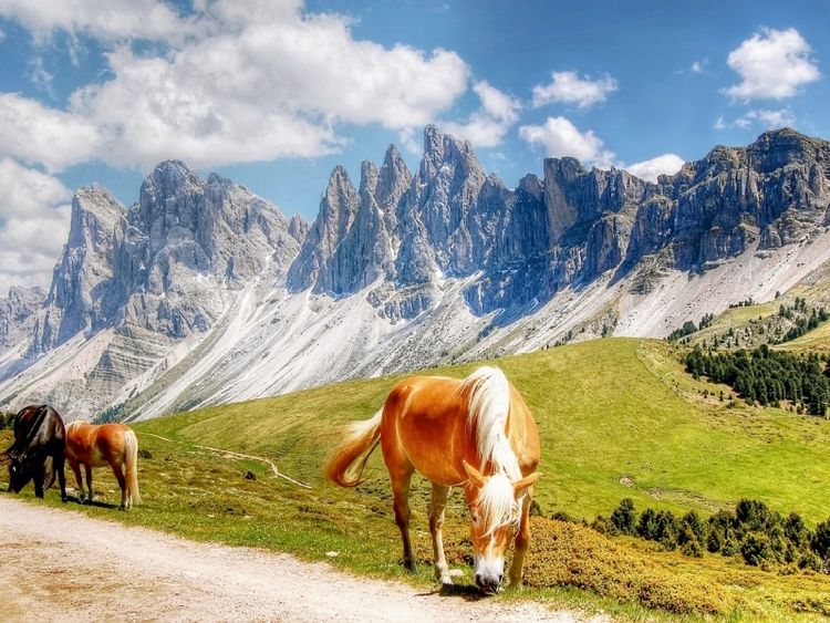 Produktbild: CALVENDO Puzzle Geisler Spitzen - Sas Rigais und Furchetta - Nordw&auml;nde - Villn&ouml;&szlig;tal - 3025 Hm | 1000 Teile Lege-Gr&ouml;&szlig;e 64x48cm Foto-Puzzle f&uuml;r gl&uuml;ckliche Stunden