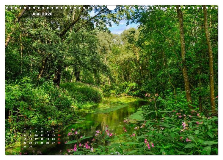 Produktbild: Zauberhafte Waldlandschaften (Wandkalender 2026 DIN A3 quer), CALVENDO Monatskalender
